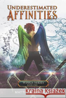 Underestimated Affinities: Cover Option 1 Matthew Scarcella 9781093671223 Independently Published