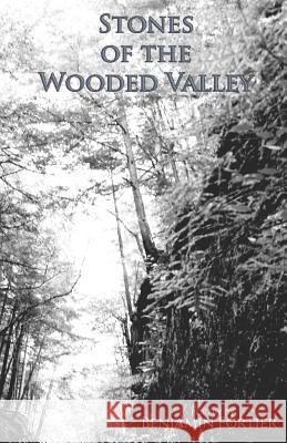 Stones of the Wooded Valley: Poetry by Benjamin Fortier Benjamin Fortier Benjamin Fortier 9781096039075 Independently Published