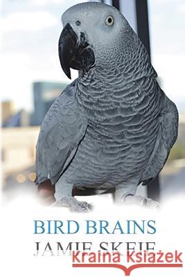 Bird Brains Jamie Skeie 9781096238126 Independently Published