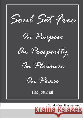 Soul Set Free C. Aries Raynor 9781096328247