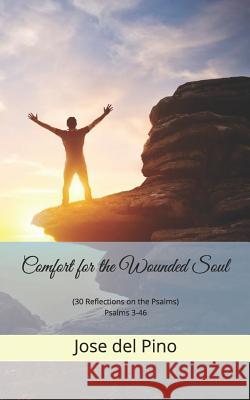 Comfort for the Wounded Soul: (30 Reflections on the Psalms) Psalms 3-46 Jose de 9781097307456