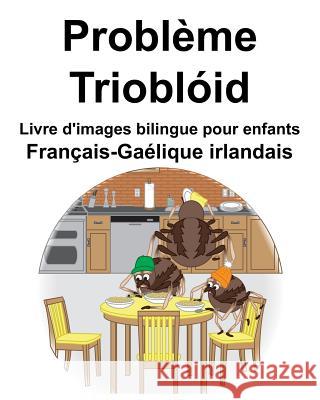 Français-Gaélique irlandais Problème/Trioblóid Livre d'images bilingue pour enfants Carlson, Richard 9781097394746