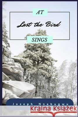 At last the Bird sings Joseph Nnabugwu 9781097463343