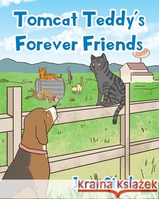 Tomcat Teddy's Forever Friends Jerry Steele 9781098020644