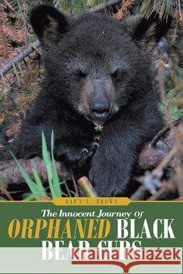 The Innocent Journey of Orphaned Black Bear Cubs Dawn L. Brown 9781098028336 Christian Faith Publishing, Inc