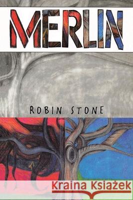 Merlin Robin Stone 9781098060138