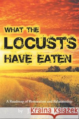 What the Locusts Have Eaten: A Roadmap of Restoration and Relationship J M Ulmer 9781098061432 Christian Faith