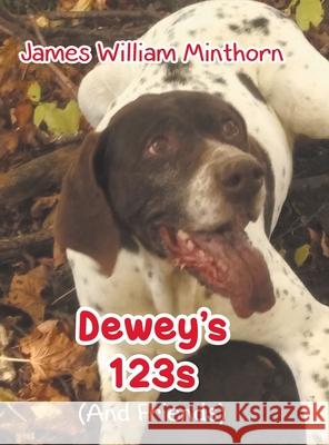 Dewey's 123s: (And Friends) James William Minthorn 9781098064976 Christian Faith