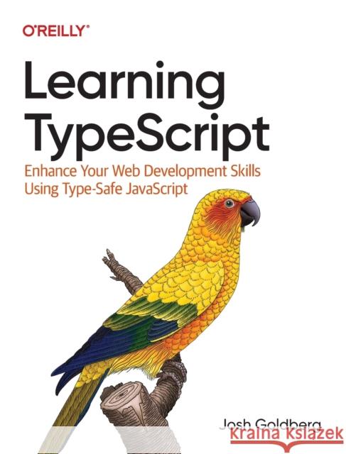 Learning Typescript: Enhance Your Web Development Skills Using Type-Safe JavaScript  9781098110338 O'Reilly Media