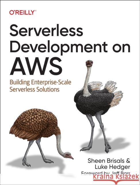 Serverless Development on AWS: Building Enterprise-Scale Serverless Solutions Luke Hedger 9781098141936 O'Reilly Media