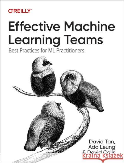 Effective Machine Learning Teams: Best Practices for ML Practitioners Ada Leung 9781098144630 O'Reilly Media
