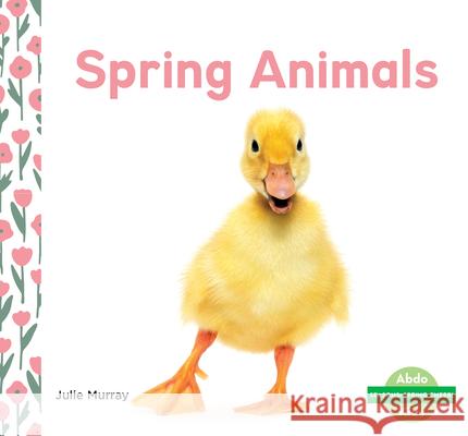 Spring Animals Julie Murray 9781098205867 Abdo Kids