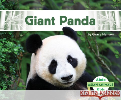 Giant Panda Grace Hansen 9781098205935