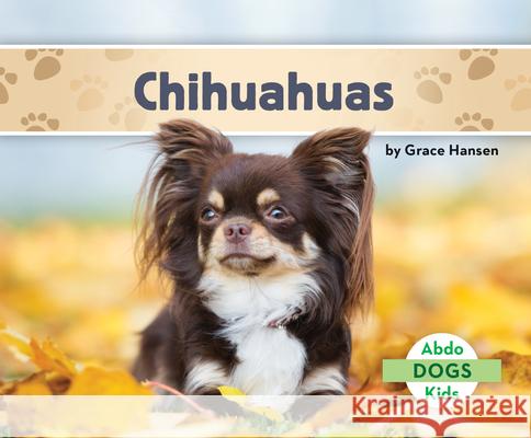 Chihuahuas Grace Hansen 9781098206000 Abdo Kids