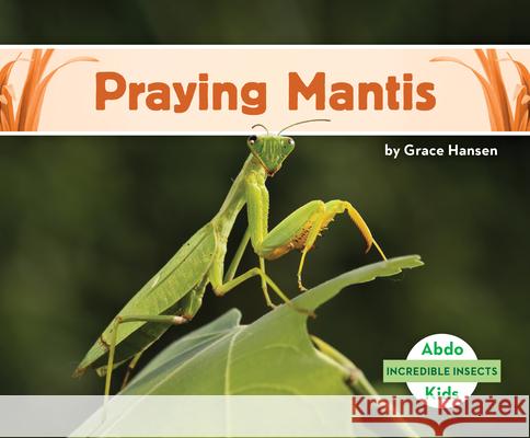 Praying Mantis Grace Hansen 9781098207397