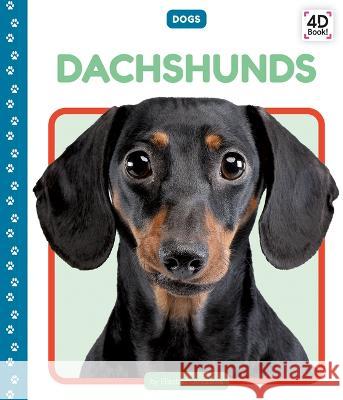 Dachshunds Elizabeth Andrews 9781098243180 Cody Koala