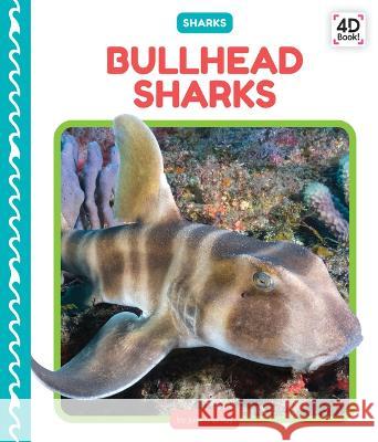 Bullhead Sharks Julie Murray 9781098244224 Cody Koala