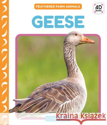 Geese Elizabeth Andrews 9781098248550