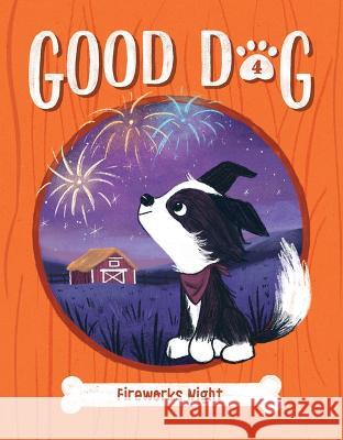 Fireworks Night: #4 Cam Higgins Ariel Landy 9781098252052 Chapter Books