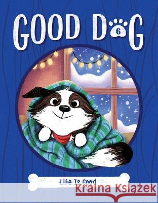 Life Is Good: #6 Cam Higgins Ariel Landy 9781098252076 Chapter Books