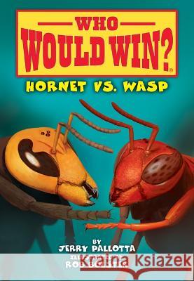 Hornet vs. Wasp Jerry Pallotta Rob Bolster 9781098252519 Spotlight