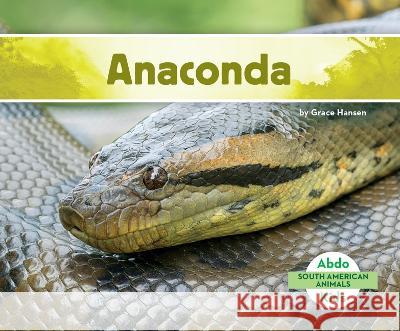Anaconda Grace Hansen 9781098261818 Abdo Kids Jumbo