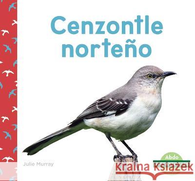Cenzontle Norteño (Northern Mockingbirds) Murray, Julie 9781098263324 Abdo Kids Junior
