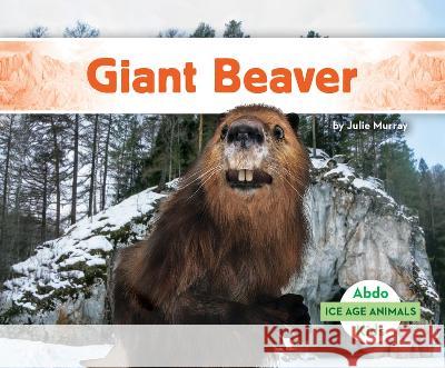 Giant Beaver Julie Murray 9781098266349 Abdo Kids Jumbo