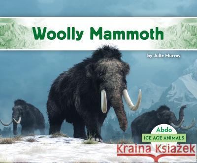 Woolly Mammoth Julie Murray 9781098266370 Abdo Kids Jumbo