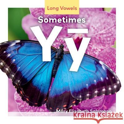 Sometimes Yȳ Mary Elizabeth Salzmann 9781098282660