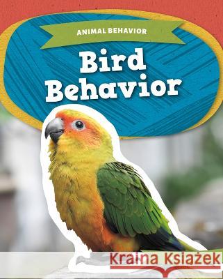 Bird Behavior Angela Lim 9781098291006 Kids Core
