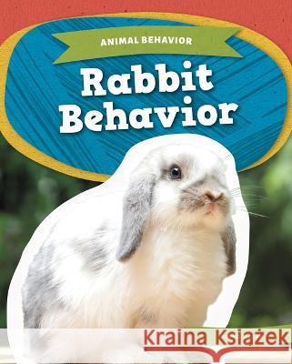 Rabbit Behavior Priscilla An 9781098291044 Kids Core