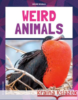 Weird Animals Emma Kaiser 9781098298463 Core Library