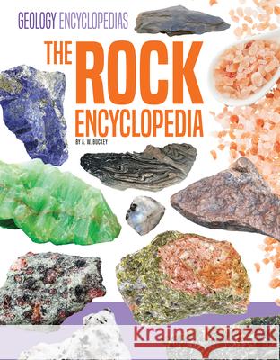 Rock Encyclopedia A. W. Buckey 9781098298913 Encyclopedias