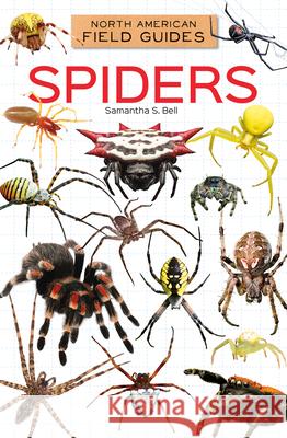 Spiders Samantha S. Bell 9781098298951 Field Guides