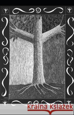 The Path of the Runes: An Introductory Guide to Runes Cindy Rhodes 9781099635625 Independently Published