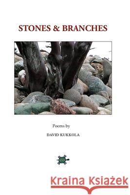 Stones and Branches Cherie Plumlee David Kukkola 9781099924033