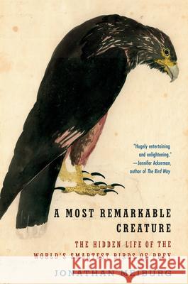 A Most Remarkable Creature: The Hidden Life of the World's Smartest Birds of Prey Meiburg, Jonathan 9781101911549 Vintage
