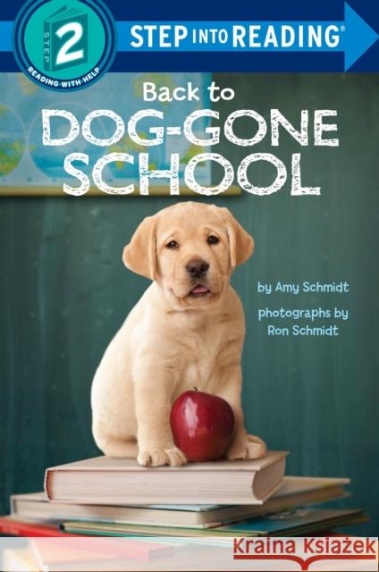 Back to Dog-Gone School Amy Schmidt Ron Schmidt 9781101935118 