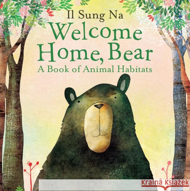 Welcome Home, Bear Il Sung Na 9781101935491 Alfred A. Knopf Books for Young Readers