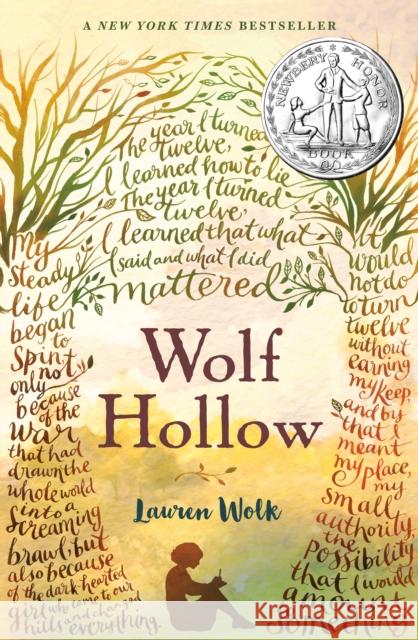 Wolf Hollow Lauren Wolk 9781101994849 Puffin Books