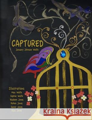 Chasing Butterflies: Captured January Johnso 9781105413537