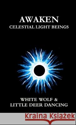 Awaken Terry Floyd 9781105540912 Lulu.com