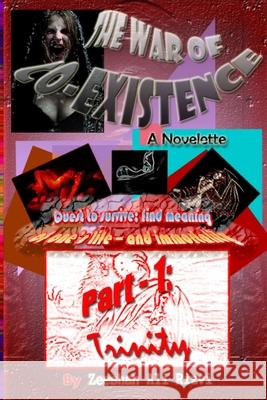 The War of Co-existence Zeeshan Rizvi 9781105901430