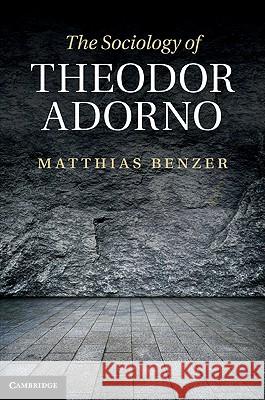 The Sociology of Theodor Adorno Matthias Benzer 9781107000094