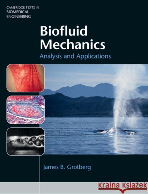 Biofluid Mechanics Grotberg, James B. 9781107003118 Cambridge University Press