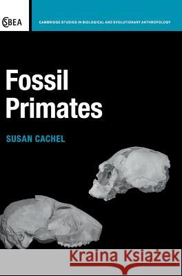 Fossil Primates Susan Cachel 9781107005303 Cambridge University Press