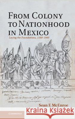 From Colony to Nationhood in Mexico: Laying the Foundations, 1560-1840 McEnroe, Sean F. 9781107006300