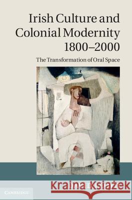 Irish Culture and Colonial Modernity 1800-2000 Lloyd, David 9781107008977 0