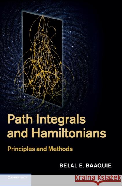 Path Integrals and Hamiltonians: Principles and Methods Baaquie, Belal E. 9781107009790